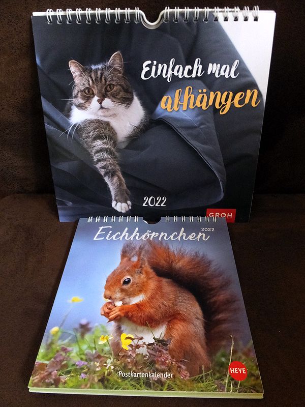 Katzen- &amp; Eichhörnchen-Kalender 2022